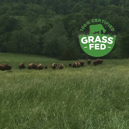 Grass Fed