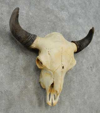 Ground Bison 