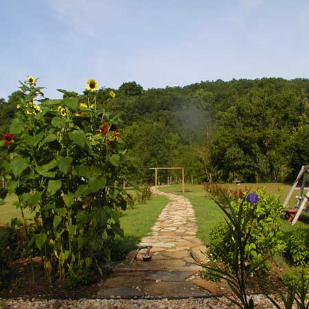 Our Backyard