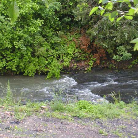Jimmy Creek