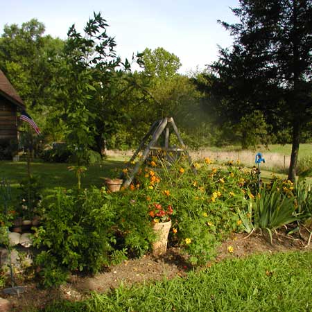 Part of our front yard