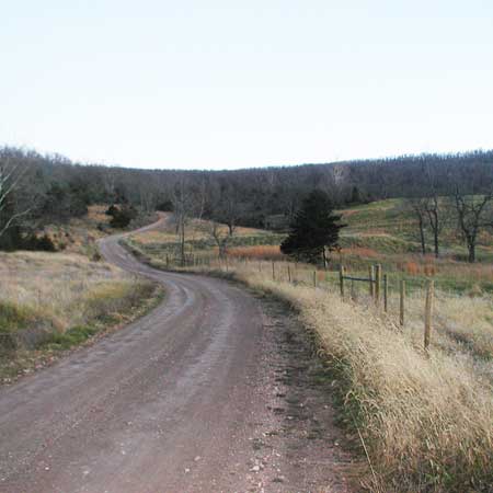 Front Field